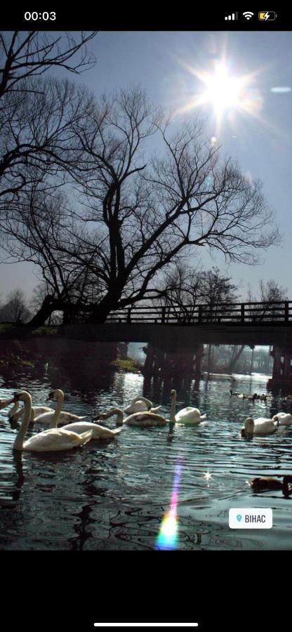 Kartal Centar Apartment Bihać Exteriér fotografie